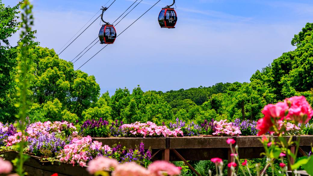 神戸布引ハーブ園・ロープウェイ / 5
