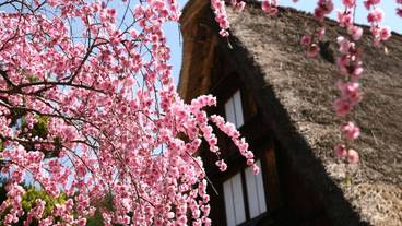 観光スポット / 5