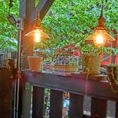 白馬 風の子(長野県 ゲストハウス・ホステル・ドミトリー) / 3