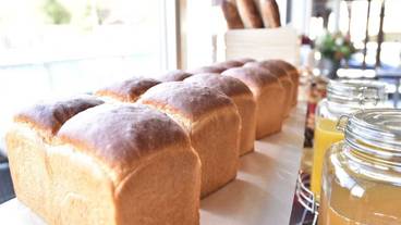 朝食ビュッフェ / 1