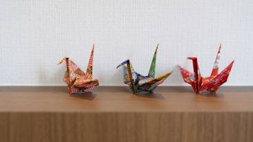 内装の詳細 / 17