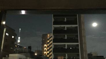 施設からの眺望 / 19