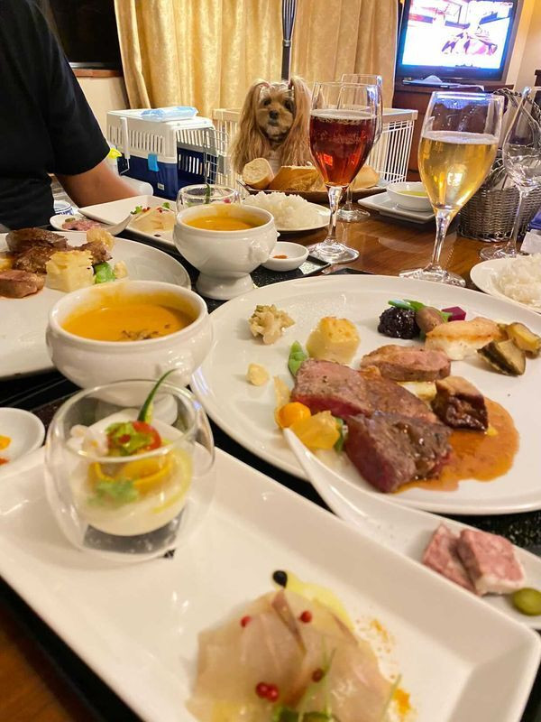 ruriribさんの写真 / 1