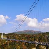 九重“夢大吊橋（-）