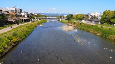 鴨川 御池大橋 / 5