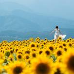落ち込んだ時に見に行きたい。心が晴れる『夏の絶景』7選