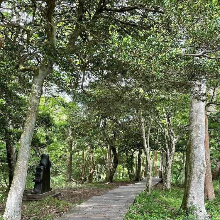 saho_bambi.0717さんの写真 / 3