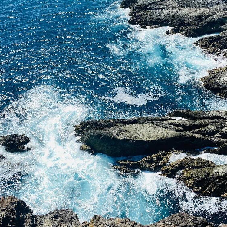 erikotomiyama925さんの写真 / 3