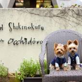 ペットと泊まれる自家源泉の宿 ホテル四季の蔵（静岡県 リゾートホテル） / 2