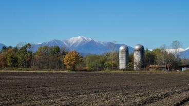 施設の敷地 / 11