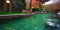 エメラルド色の美人湯で優雅な気分♪一人旅におすすめの「月岡温泉」の旅館＆ホテル6選
