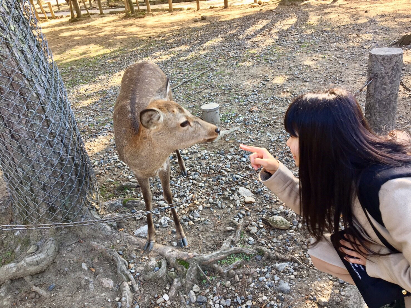 可愛い子みっけたー
