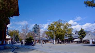 施設からの眺望 / 18