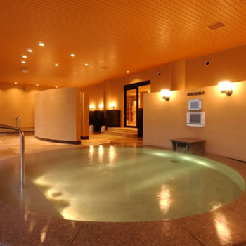 パフォーマンスが楽しいバイキングや、3本の源泉湯めぐりが魅力！4572944