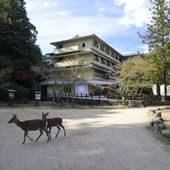 国民宿舎 みやじま杜の宿（広島県 旅館） / 4