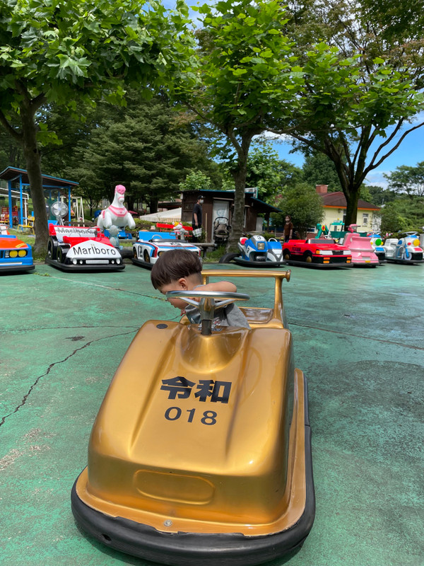 kamio_mさんの写真 / 1