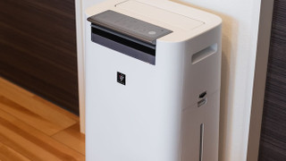 スタンダードB  禁煙