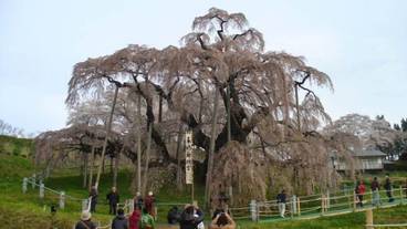 観光スポット / 14