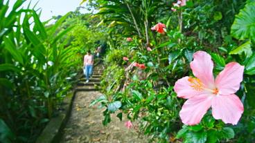 さちばるの庭(1) / 1