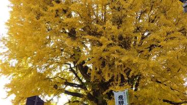 施設からの眺望 / 19