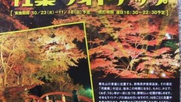 レストラン / 15