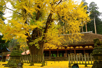 新宮熊野神社（しんぐうくまのじんじゃ） [喜多方市]721513