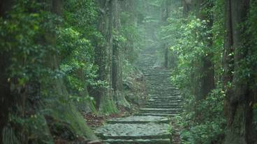 観光スポット / 10