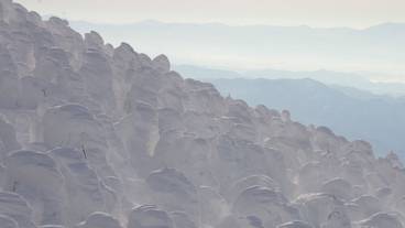 観光スポット / 37