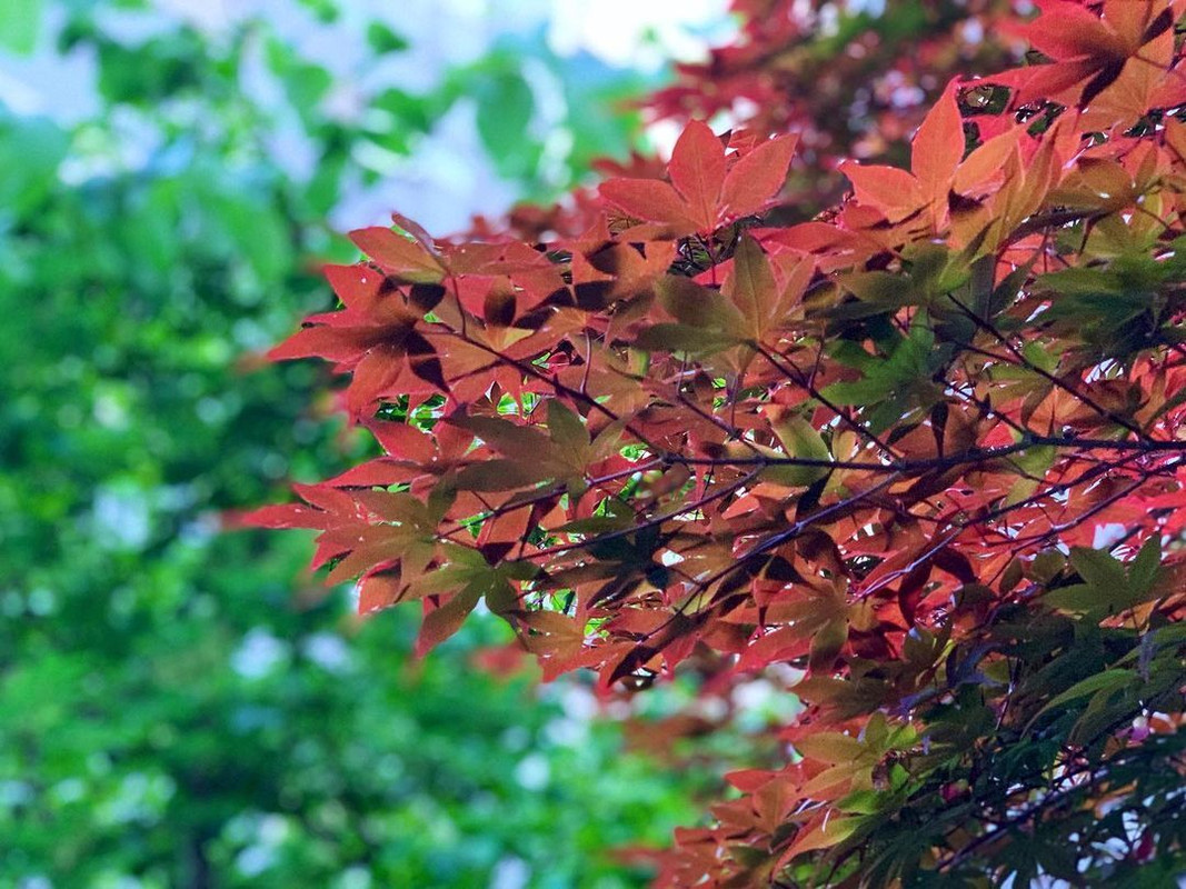 etchan_simosimoさんの写真 / 2