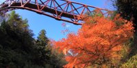 加賀／ハッピーな女子旅へ♪行くべき絶景や観光スポットはココ！8選
