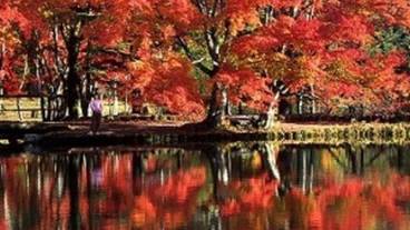 観光スポット / 10