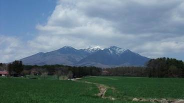 エコツアー / 13