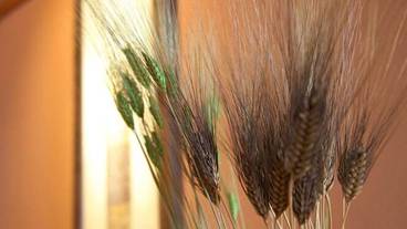 稲取温泉 石花海（せのうみ）（イナトリオンセン セノウミ） / 7