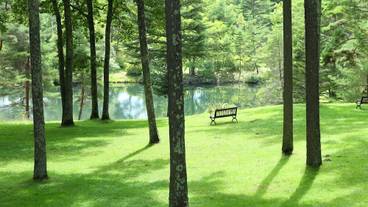 プライべ―トガーデンの風景① / 2