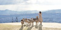 【奈良】女子一人旅で泊まりたいホテル｜おしゃれな “だけじゃない” 6選