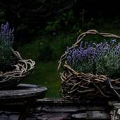 Annie Hills アニーヒルズ(山梨県 ペンション) / 2