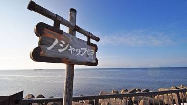 施設からの眺望 / 11