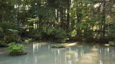 観光スポット / 2