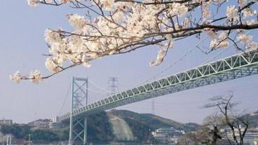 観光スポット / 16