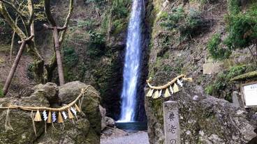 シティ ビュー / 15