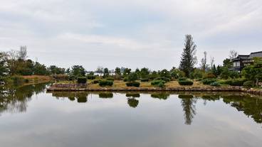 部屋からの景観 / 30