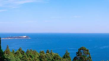 ビーチ / オーシャン ビュー / 13