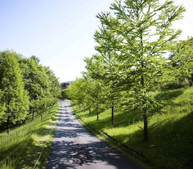 敷地内の散策路② / 2