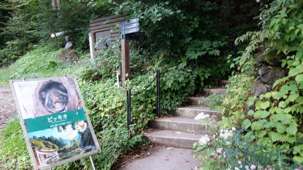 「ピッキオ」で
自然や動物に癒されて / 1