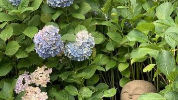 観光スポット / 15