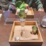 ma_yadologさんの写真