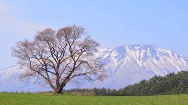 観光スポット / 7