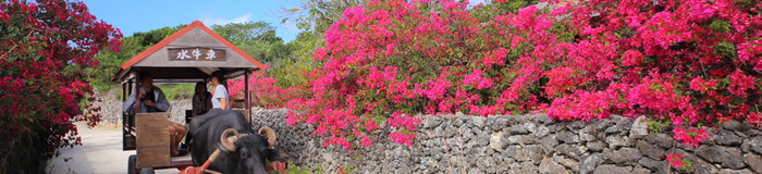 【沖縄】竹富島の旅館＆ホテルで贅沢なひとときを。のんびりリゾート気分を味わえる宿4選