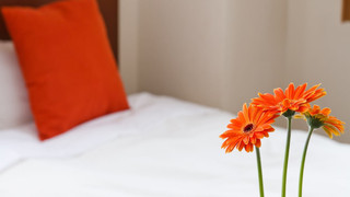 スタンダード ツインルーム 禁煙