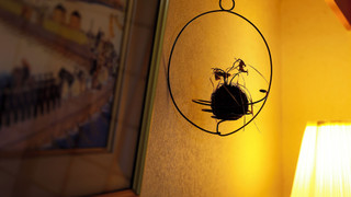 ベーシック ダブルまたはツインルーム